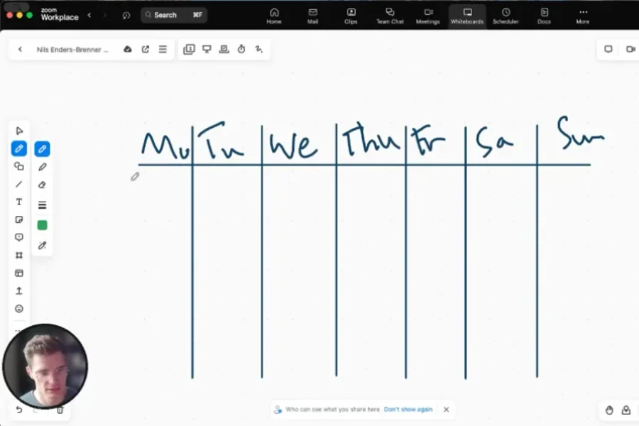 A Whiteboard Analysis call in progress, Nils sketching a client's week on a shared Zoom whiteboard